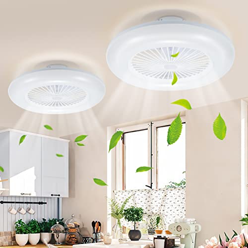 Herrselsam 2 Stück Deckenventilator mit Beleuchtung 80W Leise Deckenlampe mit Ventilator Einstellbare Windgeschwindigkeit und 3 Farbtemperatur mit Timer für Wohnzimmer Schlafzimmer[Energieklasse E] von Herrselsam