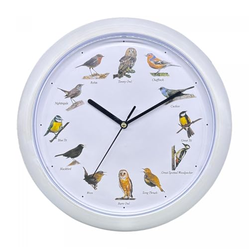 Herzberg HG-03725 Wanduhr mit Vogelgesang, europäisch, Weiß Herzberg HG-03725 Wanduhr mit Vogelgesang, europäisch, Weiß von Herzberg