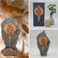 Schutzengel | Weihnachtsengel Weihnachtsfigur Engelfigur Steinengel von Herzensdingfabrik