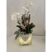 Adventsgesteck 40cm Weiß Orchidee Weihnachtsgesteck Sterne Led Gesteck Beleuchtet von Herzflair
