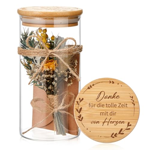 Hestya Vorratsglas Dankeschön Geschenk für Kollegen Lehrerin Erzieherin Aufbewahrungsglas mit Trockenblume Danke für die tolle Zeit mit dir von Herzen Keksdose Hebamme Tagesmutter(Erntedankfest) Hestya Vorratsglas Dankeschön Geschenk für Kollegen Lehrerin Erzieherin Aufbewahrungsglas mit Trockenblume Danke für die tolle Zeit mit dir von Herzen Keksdose Hebamme Tagesmutter(Erntedankfest) von Hestya