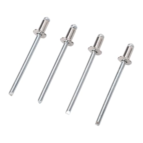 HETHLIF Aluminiumblindnieten, Dash Rosette Nieten Autos Rosette Nieten Aluminium 4pcs Rose Geeignet für Verschiedene Autoteile, die Nietfixierung Benötigen (SILVER) von Hethlif