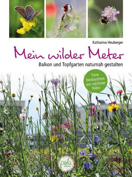 Heuberger, Katharina Mein wilder Meter von Heuberger, Katharina