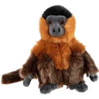 BEDROHTE TIERE Kapuzineraffe von Heunec