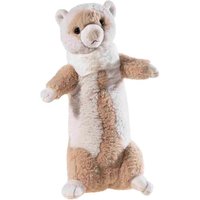 MR.SCHMUS - Frettchen mit Charme von Heunec