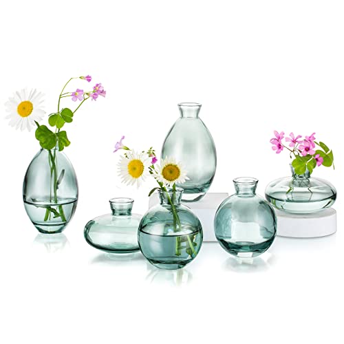 Kleine Vasen Für Tischdeko Aus Hewory, 6 Stück Vase Glas Mini Vasen Set Modern Glasvase Grün Kleine Blumenvasen Für Hochzeitsdeko Tisch Wohnzimmer Deko von Hewory