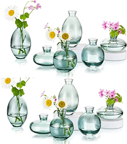 Kleine Vasen Für Tischdeko Aus Hewory, 12 Stück Vase Glas Mini Vasen Set Modern Glasvase Grün Kleine Blumenvasen Für Hochzeitsdeko Tisch Wohnzimmer Deko von Hewory