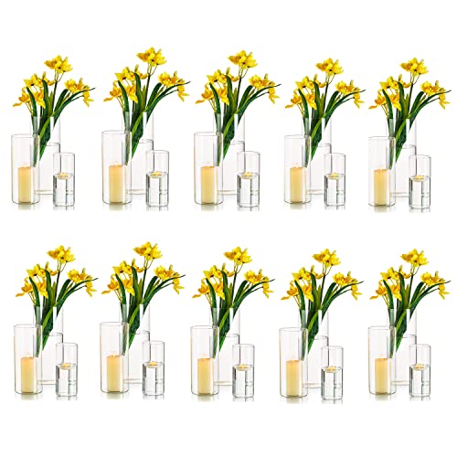 Hewory Vase Glas Blumenvase Modern 30 Stück Vasen Deko Wohnzimmer Tulpenvase Glasvase Gross Vase Groß Kerzenhalter Glaszylinder Set für Hochzeit Tischdeko, 10/15/20cm Hoch von Hewory