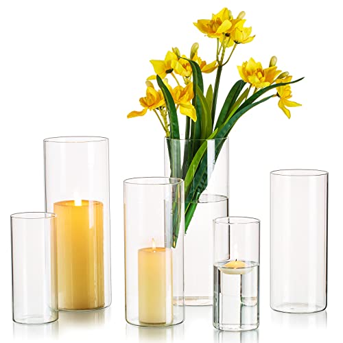 Hewory Vase Glas Blumenvase Modern 6 Stück Vasen Deko Wohnzimmer Tulpenvase Glasvase Gross Vase Groß Kerzenhalter Glaszylinder Set für Hochzeit Tischdeko, 10/15/20cm Hoch von Hewory