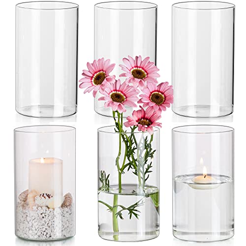 Hewory Zylinder Vase Glas 6 Stück Blumenvase, 15cm Modern Vasen Set Glasvase Deko Vasen, Tulpenvase Windlicht Glas Kerzenhalter Für Stumpenkerzen Schwimmkerzen Für Hochzeitsdeko Deko Wohnzimmer von Hewory