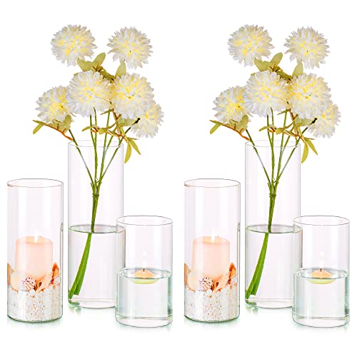 Hewory Zylinder Vase Glas Blumenvase 6er Vasen Set Windlicht Glas Kerzenhalter für Stumpenkerzen Schwimmkerzen, Klar Glasvase Glaszylinder Mit Boden für Hochzeit Tischdeko Wohnzimmer Deko, 15/20/25cm von Hewory