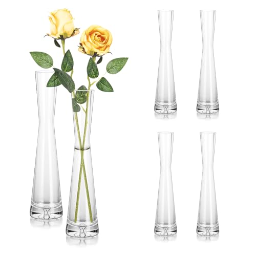 Hewory Blumenvase Modern 6er Glasvasen, 24cm Vase Schmal Vasen Glas Blumen Vase für Tischdeko, Glasvase Handmade Tulpenvase für Eine Rose für Hochzeitsdeko Tisch Deko Wohnzimmer Esstisch Startseite von Hewory