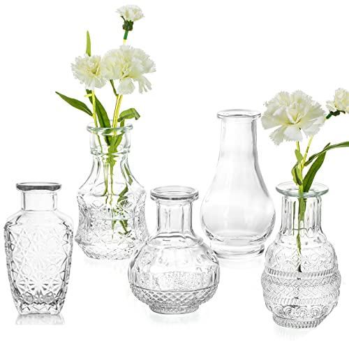 Hewory Kleine Vase Glas Hochzeit Vasen Set: Vintage Blumenvase 5er Durchsichtig Deko Handmade Mini Glasvase Transparent Tischvase für Tischdeko Hochzeit Home, Glasvasen Minivasenset Tisch Dekoration von Hewory