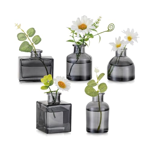 Hewory Kleine Vasen für Tischdeko Esstisch: 5er Grau Mini Vasen Set Verschiedene Kleine Glasvasen Set für Tisch Deko Wohnzimmer - Modern Blumenvase Glas für Hochzeitsdeko Home Schlafzimmer von Hewory