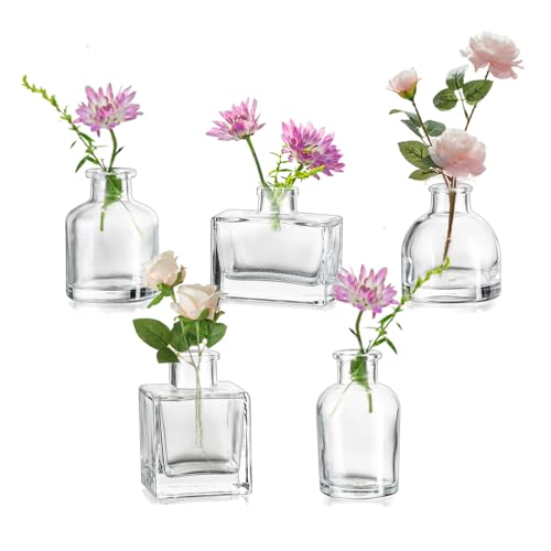 Hewory Kleine Vasen für Tischdeko Party: 5er Mini Vasen Set Verschiedene Kleine Glasvasen Set für Tisch Deko Wohnzimmer - Modern Blumenvase Glas für Hochzeitsdeko Home Decor Schlafzimmer von Hewory