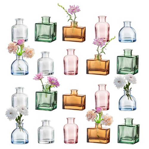 Hewory Kleine Vasen für Tischdeko: 20er Bunt Mini Vasen Set Verschiedene Deko Vase Glas, Kleine Glasvasen Mini Glasflaschen Vasen Deko, Kleine Blumenvasen für Hochzeitsdeko Party Deko Wohnzimmer von Hewory