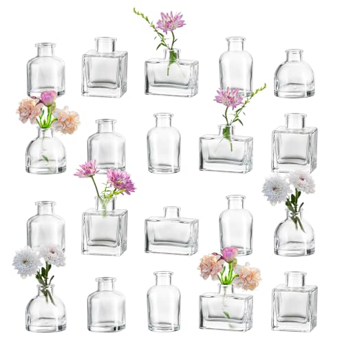 Hewory Kleine Vasen für Tischdeko: 20er Klar Mini Vasen Set Verschiedene Deko Vase Glas, Kleine Glasvasen Mini Glasflaschen Vasen Deko, Kleine Blumenvasen für Hochzeitsdeko Party Deko Wohnzimmer von Hewory