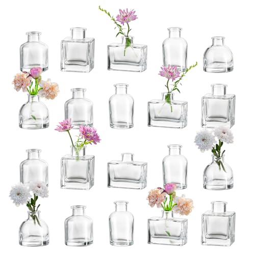 Hewory Kleine Vasen für Tischdeko Hochzeit: 20 Mini Vasen Set Verschiedene Vase Glas für Party - Kleine Glasvasen Minivasen Babyparty Hochzeitsdeko Tisch Geburtstag von Hewory
