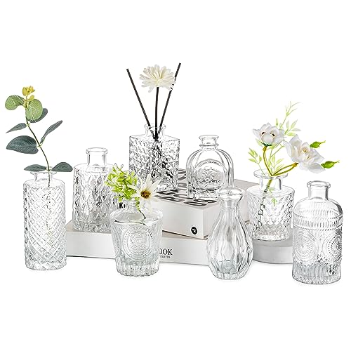 Hewory Kleine Vasen für Tischdeko: 8er Mini Vasen Set Glasvasen für Tischdeko, Vintage Vase Glas Klare Blumenvase Vasen Klein Tischdeko Vasen Deko für Hochzeitsdeko Wohnzimmer Room Decor von Hewory