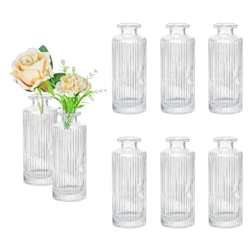Hewory Kleine Vasen für Tischdeko: Hewory 8er Vintage Deko Vase Glas, Kleine Glasvase Vasen Klein Tischdeko Gerippt Vase für Eine Rose, Blumenvasen Glas für Hochzeit Wohnzimmer von Hewory