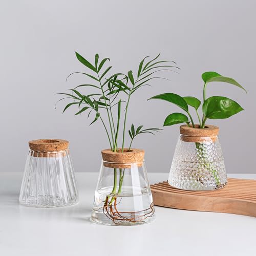 Hewory Terrarium Pflanzen Vase Glas: Modern Kleine Vasen für Tischdeko - Hydrokultur Ableger Pflanzen Glas with Holzlippe - Glasvase Propagation Station für Pflanzen Geschenk Wohnzimmer Büro von Hewory