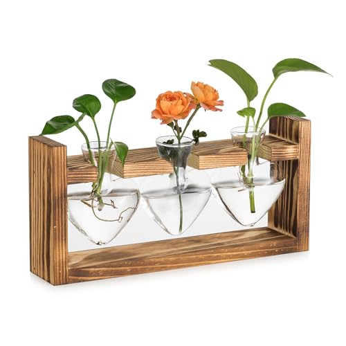 Hewory Vintage Deko Vase Terrarium: Hydrokultur Blumenvase Glas Kleine Vasen für Tischdeko - Propagation Station mit Ständer für Terrarium Pflanzen Geschenke für Frauen Wohnzimmer Büro Weihnachtsdeko von Hewory