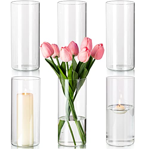 Hewory Zylinder Vase Glas 6 Stück Blumenvase, 20cm Modern Vasen Set Glasvase Deko Vasen, Tulpenvase Windlicht Glas Kerzenhalter Für Stumpenkerzen Schwimmkerzen Für Hochzeitsdeko Deko Wohnzimmer von Hewory