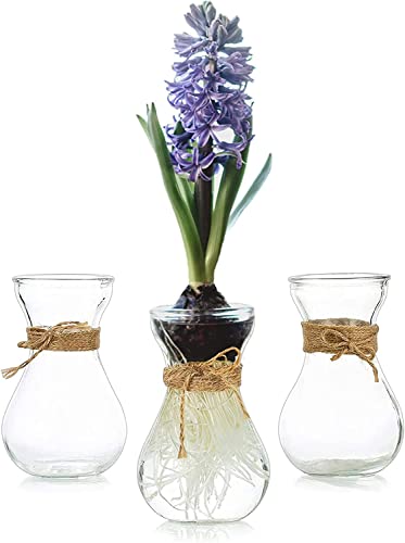 Kleine Vasen Für Tischdeko 3er, Hewory Vase Glas Blumenvase Klein Glasvase Mit Schnurseil, Mini Vasen Set Hydroponik Glasvasen Für Wohnzimmer Deko Modern Hochzeitsdeko Tisch von Hewory