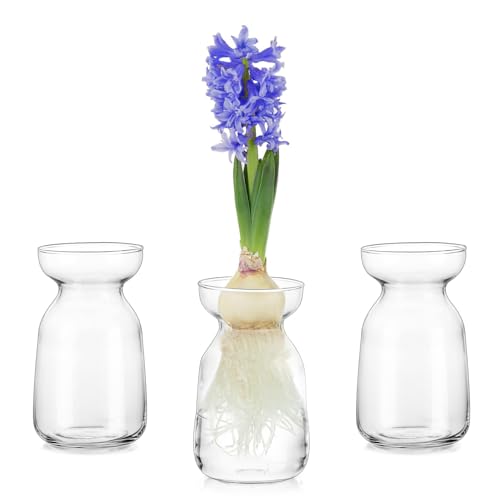 Hewory Kleine Vasen für Tischdeko: 3er Set Vase Glas Hydrokultur Glasvase Klein mit Schnurseil, Kleine Vasen Deko Hydroponik Vasen Set Hyazinthenglas für Wohnzimmer Deko Modern Hochzeitsdeko Tisch von Hewory