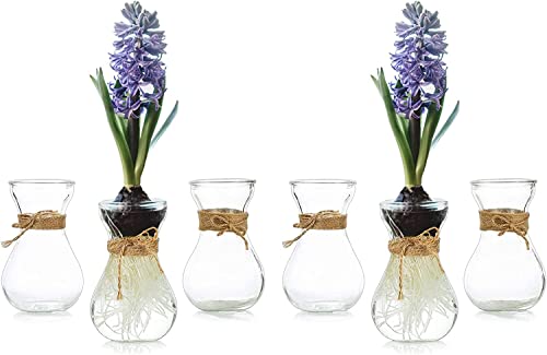 Kleine Vasen Für Tischdeko 6er, Hewory Vase Glas Blumenvase Klein Glasvase Mit Schnurseil, Mini Vasen Set Hydroponik Glasvasen Für Wohnzimmer Deko Modern Hochzeitsdeko Tisch von Hewory