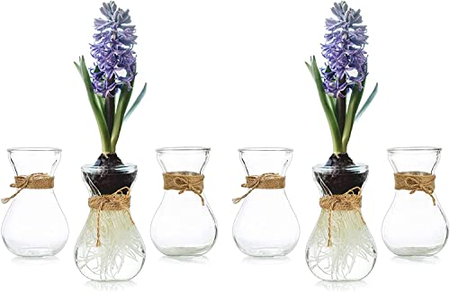 Kleine Vasen Für Tischdeko 6er, Hewory Vase Glas Blumenvase Klein Glasvase Mit Schnurseil, Mini Vasen Set Hydroponik Glasvasen Für Wohnzimmer Deko Modern Hochzeitsdeko Tisch Transparent von Hewory