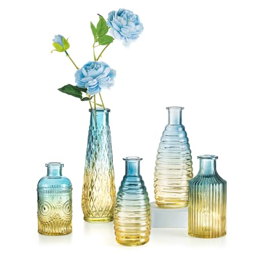 Kleine Vasen Set Bunte Glasvase: Hewory 5er Kleine Vasen für Tischdeko, Blau Vase Glas Glasflaschen Vintage Blumenvase, Verschiedene Groessen Vasen Deko Mini Vasen für Deko Wohnzimmer Room Decor von Hewory