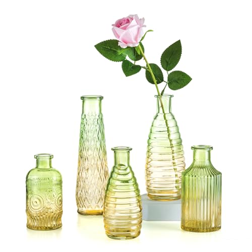 Kleine Vasen Set Bunte Glasvase: Hewory 5er Kleine Vasen für Tischdeko, Grün Vase Glas Glasflaschen Vintage Blumenvase, Verschiedene Groessen Vasen Deko Mini Vasen für Deko Wohnzimmer Room Decor von Hewory