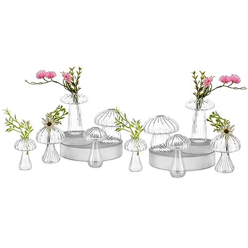 Pilz Deko Glas Vase Klar: Hewory 10er Fliegenpilz Pilze Kleine Vasen für Tischdeko, Mini Vasen Set Glas Vasen Deko Aesthetic Vase für Wohnzimmer Modern Schlafzimmer Cottagecore Deko Mushroom Decor von Hewory