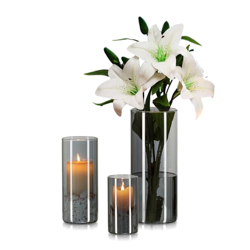 Hewory Vase Schwarz für Deko Wohnung: 3 Vasen Set Schick Blumenvase Modern Glasvasen für Tischdeko - Schönes Glasvase Zylinder Windlicht Glas Schwarz Vase Grau für Geschenk Freundin Esstisch Deko Hewory Vase Schwarz für Deko Wohnung: 3 Vasen Set Schick Blumenvase Modern Glasvasen für Tischdeko - Schönes Glasvase Zylinder Windlicht Glas Schwarz Vase Grau für Geschenk Freundin Esstisch Deko von Hewory