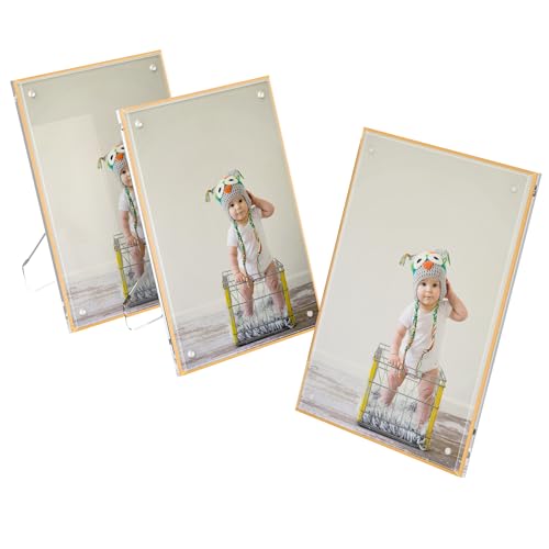 Hexsonhoma Clear 15x20CM Bilderrahmen mit Gold Border Packung von 3, Desktop freistehender Perspex Fotorahmen für 15x20 oder 13x18, magnetischer Acrylrahmen für Bildanzeige Hexsonhoma Clear 15x20CM Bilderrahmen mit Gold Border Packung von 3, Desktop freistehender Perspex Fotorahmen für 15x20 oder 13x18, magnetischer Acrylrahmen für Bildanzeige von Hexsonhoma