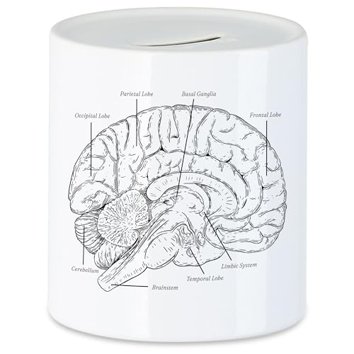 Hey!Print Gehirn Spardose Nervensystem Rechte Linke Gehirnhälfte Gedächtnis Hirn Nerven Gehirnzellen Logik Medizin Studium von Hey!Print