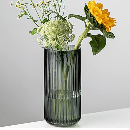 Hey_you Glasvase, Nordische minimalistische kristallklare Blumenvase Dekorative Vase Säulenvase Blumenarrangement Ornamente für Home Office Dekor, Geschenk für Hochzeit, Einweihungsparty, Grau von Hey_you