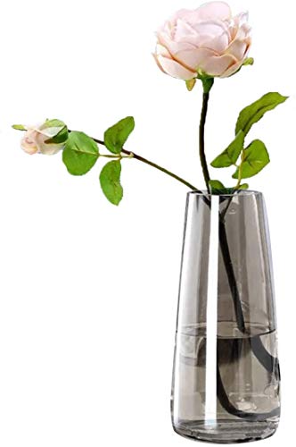 Klarglas Vase, Ins Style Irised Kristall dekorative Vase Blumenblume Pflanzenbehälter für Home Office Dekor, Geschenk für Hochzeit Einweihungsparty feiern von Hey_you