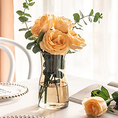 Hey_you Klarglas Vase, Kristall dekorative Vase Blumenblume Pflanzenbehälter für Home Office Dekor, Geschenk für Hochzeit Einweihungsparty feiern von Hey_you
