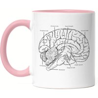 Gehirn Tasse Rosa Nervensystem Rechte Linke Gehirnhälfte Gedächtnis Hirn Nerven Gehirnzellen Logik Medizin Studium von HeyPrintDesigns