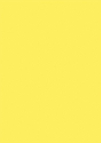 Heyda 20-3160015 Plakatkarton, 50 x 70 cm, 380 g/m², zitronengelb von Heyda