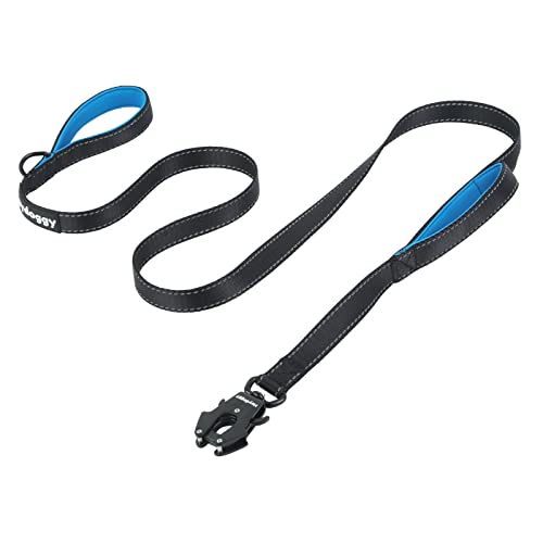 Reflektierend Hundeleine 1,8m für Große Mittlere Kleine Hund, Robust Nylon Trainingsleine mit Zwei Griff & Auto Sperre Karabiner, Anti-Zug Walken Sicherheit Kontrolle Führleine Schwarz Blau 6ft von Heydoggy