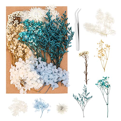 Heyu-Lotus Natürliche Getrocknete Blumen, DIY Natürliche Blumen Set für Trockenblumen Kunst DIY Scrapbooking Handwerk Karten Machen Heimdekoration Hochzeit von Heyu-Lotus