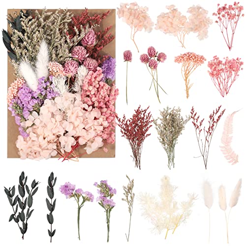 Heyu-Lotus Natürliche getrocknte Blumen, echte getrocknte gepresste Bluman DIY gemischte getrocknte Bluman für DIY-Kerzenharz, Schmuck, Nägel, Scrapbooking-Bastelarbeiten von Heyu-Lotus