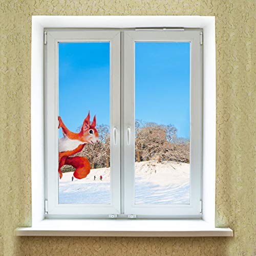 HeziCat 3 Stück Fenster Aufkleber, Peeping Squirrel Wandfenster Aufkleber, Fensteraufkleber zum Schutz gegen Vogelschlag Fensterdeko Window Sticker Fenstersticker Fensterfolie von HeziCat