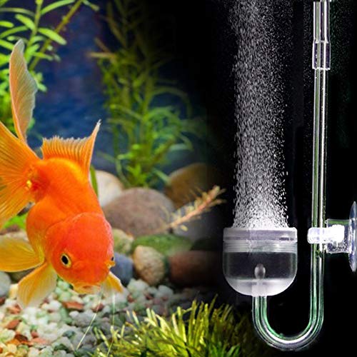 Aquarium CO2 Diffusor Aquarium U-Form CO2 Diffusor Aquarium Dissolved Oxygen Diffusor DIY CO2 Diffusor mit Saugnapf (große Tasse) von Pssopp