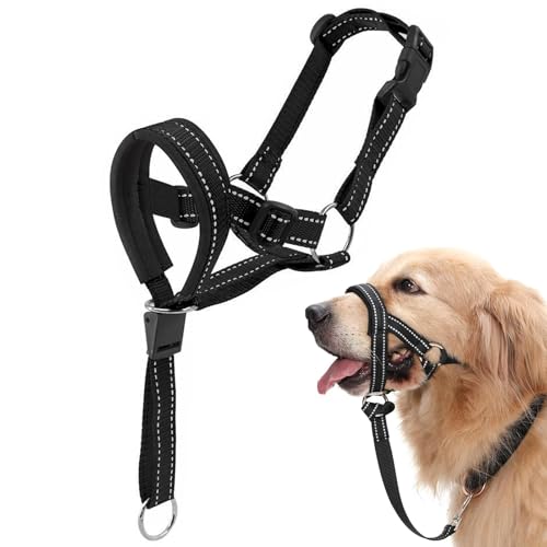 HhBdy Halti für Große Hunde, Hundehalfter Verstellbar Maulschlaufe Hund mit Gepolstertem Stoff, Anti Zieh Geschirr für Hunde Schwarz für Tägliche Spaziergänge Fellpflege und Krallenschneiden (L) von HhBdy