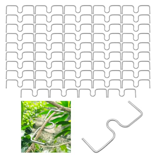 50 Stück Gliedmaßenspreizer für Obstbäume, HhdvdyWgd Aststützwerkzeug - Verstellbare Baumstütze, Bäumchenzieher & Bauernhof-Werkzeug für Apfel, Pflaume, Bonsai-Bäume (10 cm) von HhdvdyWgd