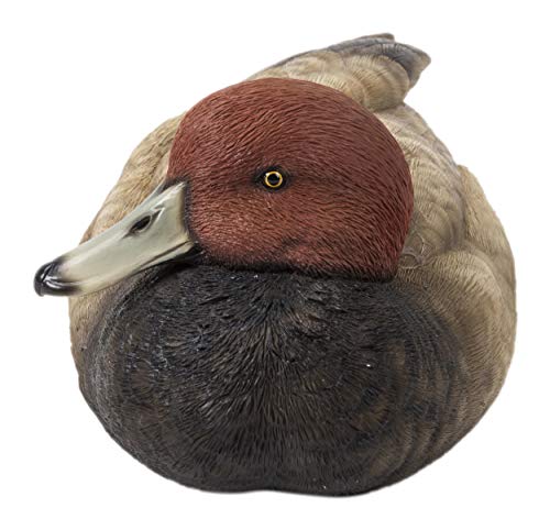 Hi-Line Gift 87682-B Outdoor-Statuen von Hi-Line Gift Ltd